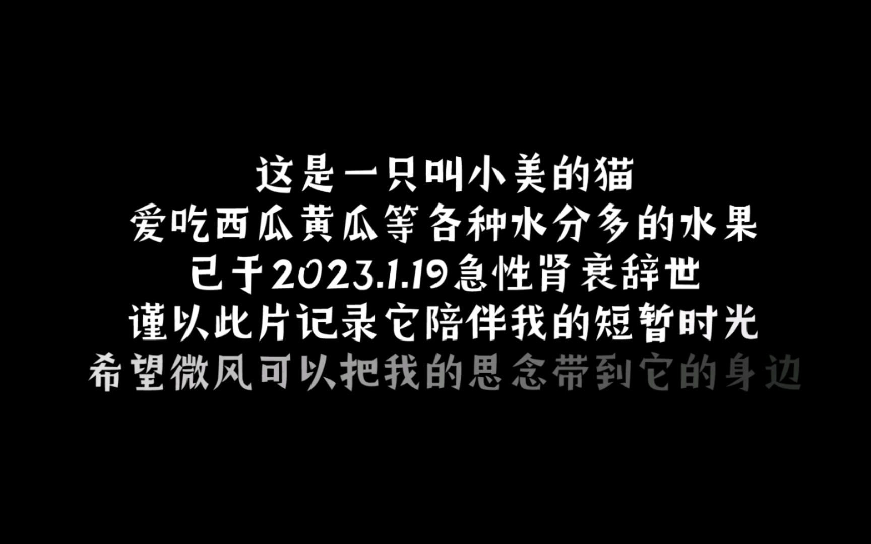 波仔,美美,我们终点汇合吧.