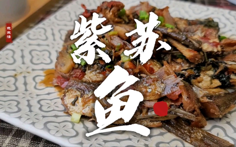 紫苏独特的香气 烧个鱼干 干饭神器 差点饿晕过去#家常菜#紫苏