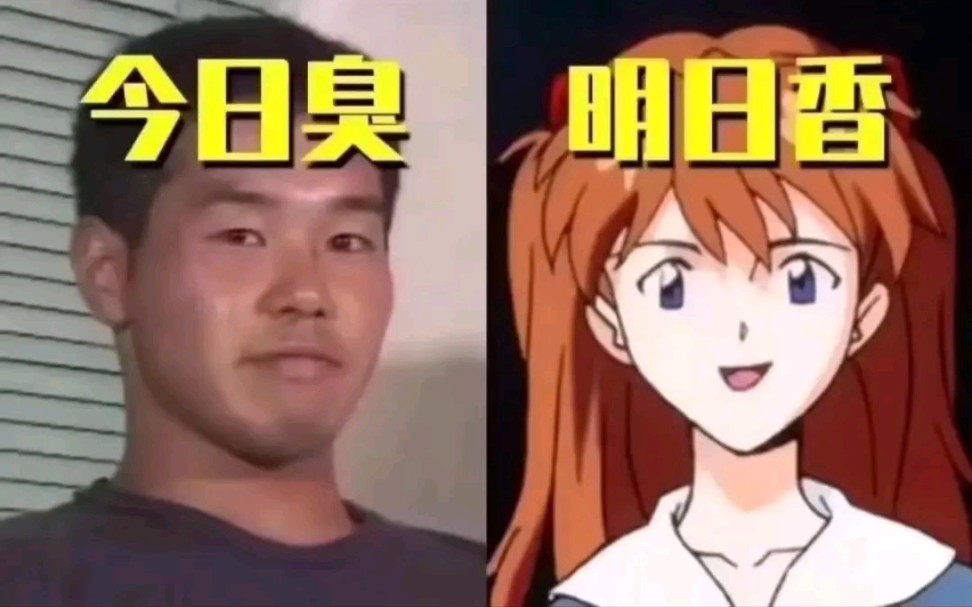 EVA梗图,难绷(2)_哔哩哔哩_bilibili