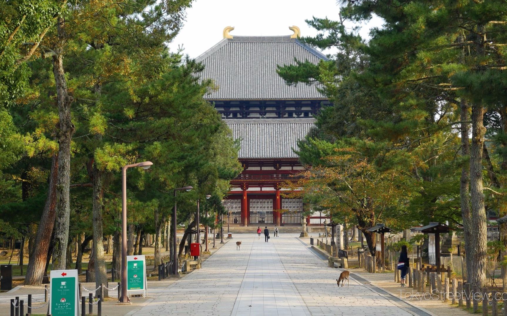 【超清日本】奈良・东大寺【TokyoStreetView 】哔哩哔哩bilibili