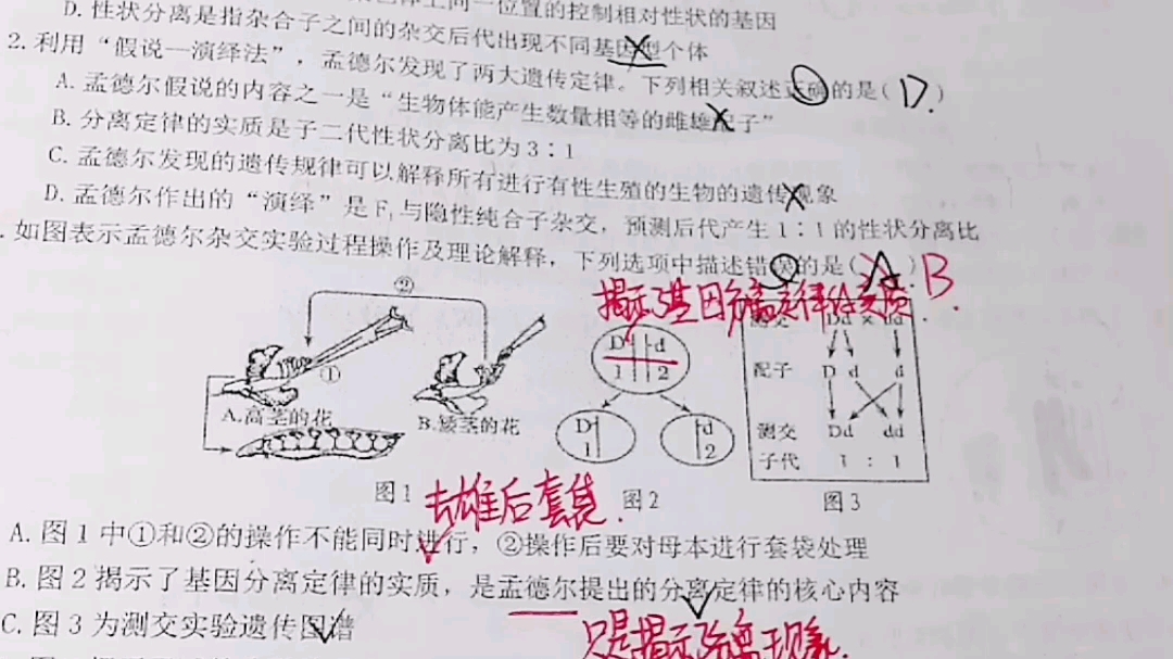 阜阳三中 高一 一调 生物讲解哔哩哔哩bilibili