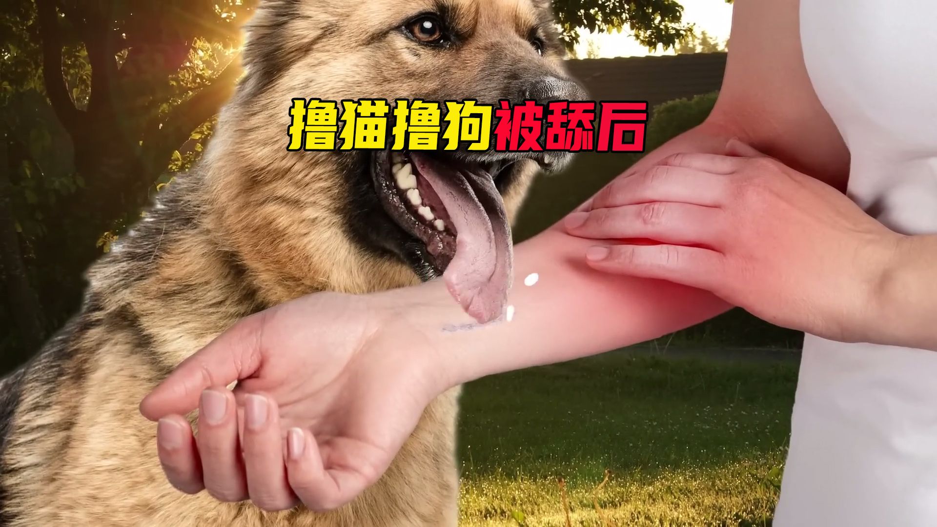 [图]警惕狂犬病：不可忽视的致命威胁 #狂犬病