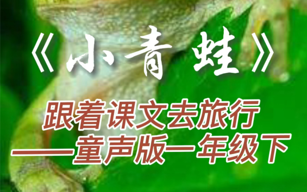 童声版跟着课文去旅行一年级下册课文《小青蛙》小学生朗读课文小学语文一年级下册课本朗读 童声课文朗读#最美童声 ##课文朗读##小学语文学习哔哩哔...