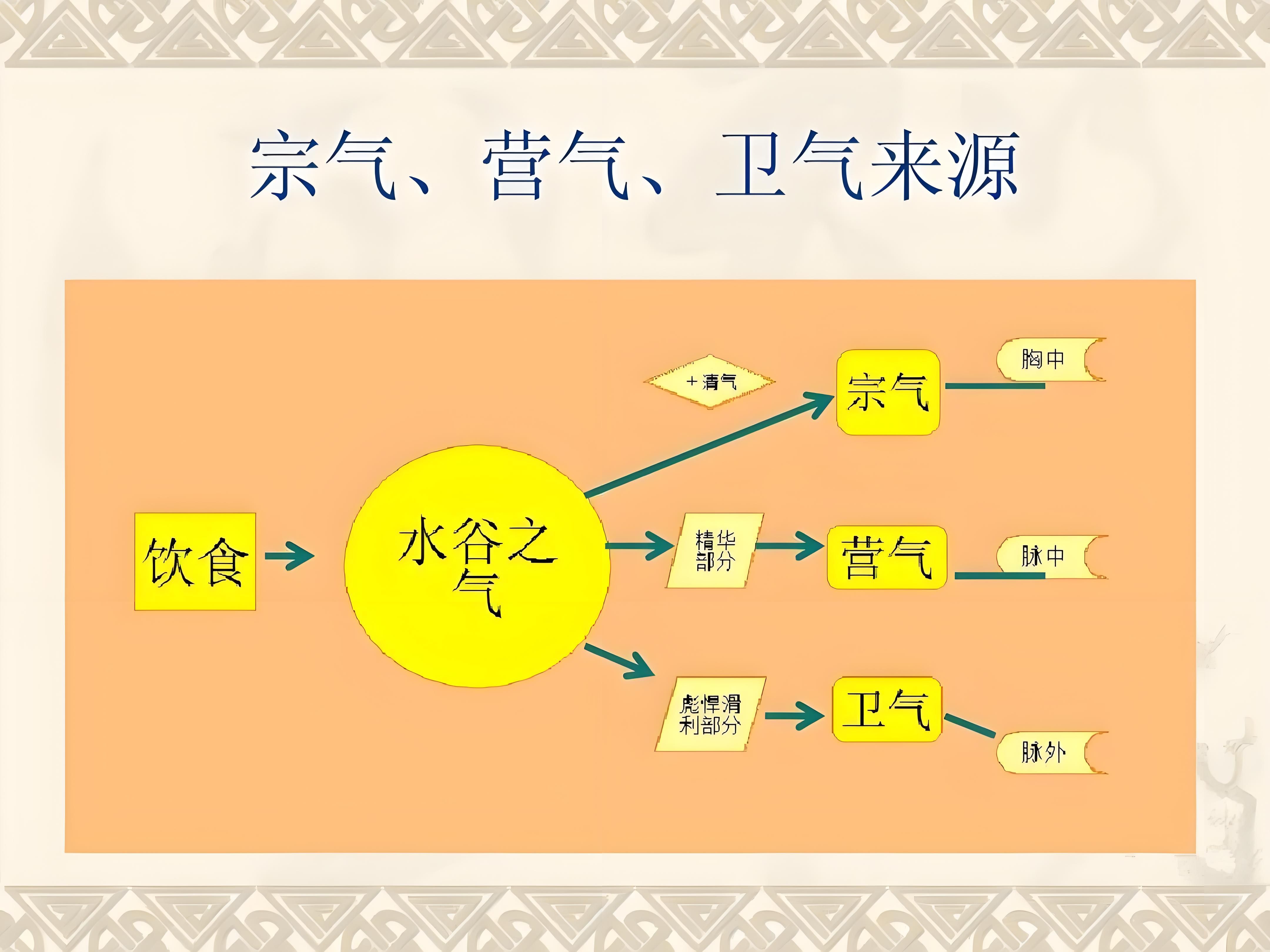 第123讲:【黄帝内经】营卫二气的生成与分布哔哩哔哩bilibili