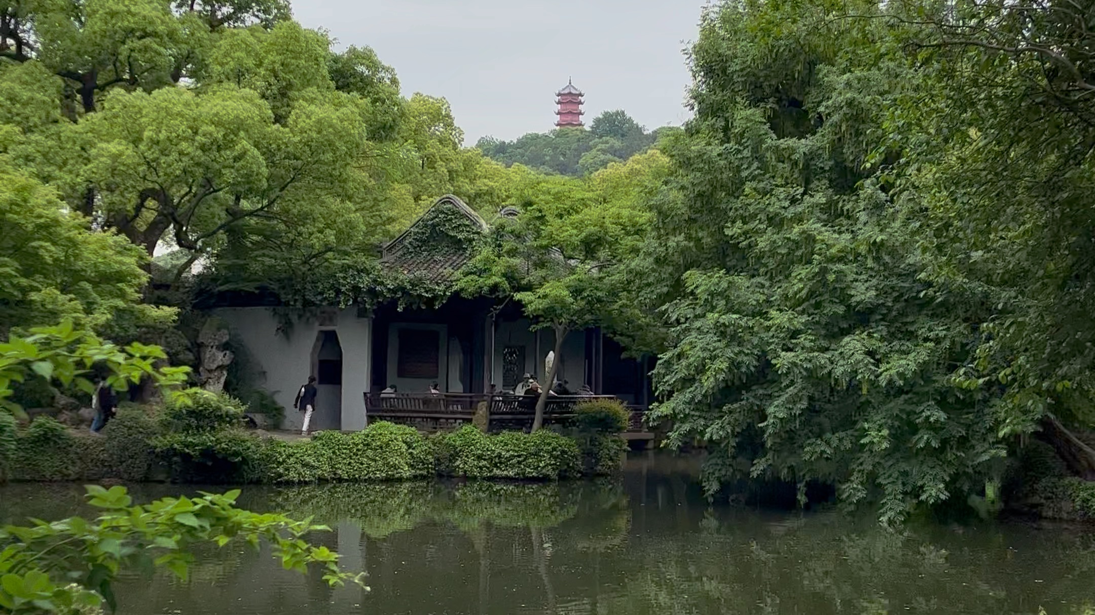 中国园林借景之王-无锡寄畅园