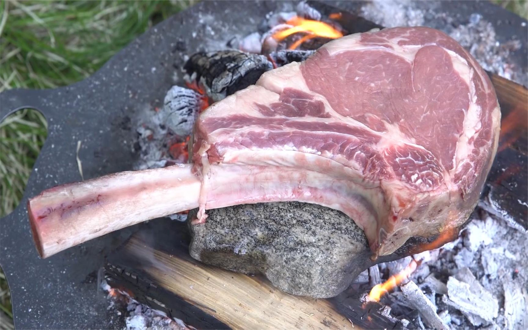 犀牛灵族的牛肉到底有多美味?看看这位大佬吃就知道了!哔哩哔哩bilibili