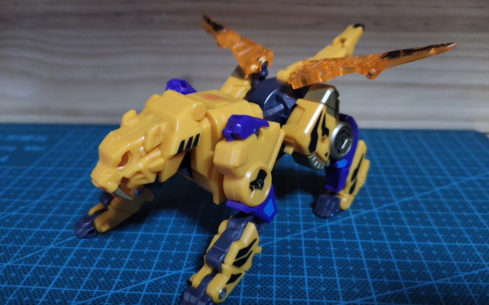 猛兽匣系列 虎道_哔哩哔哩_bilibili