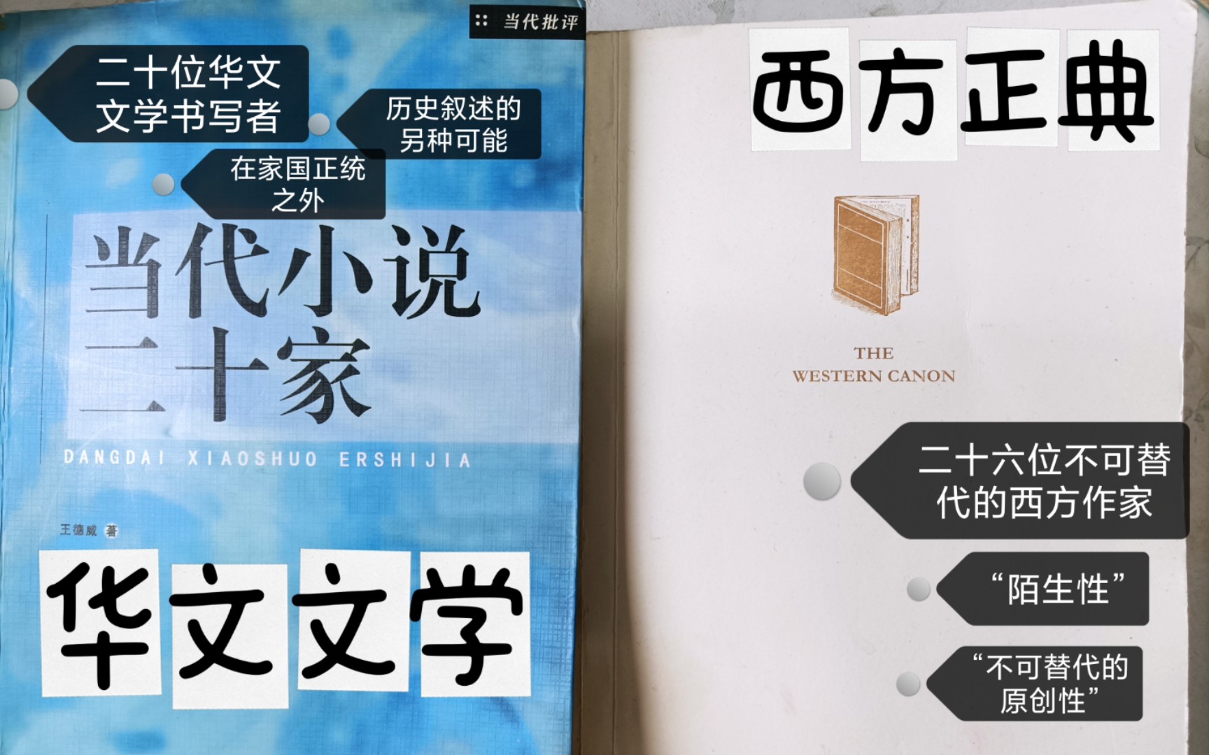 [图]【戏寰】读书分享：适合作为导读或书单的两本书——布鲁姆《西方正典》与王德威《当代小说二十家》｜对导读的导读（套娃行为）