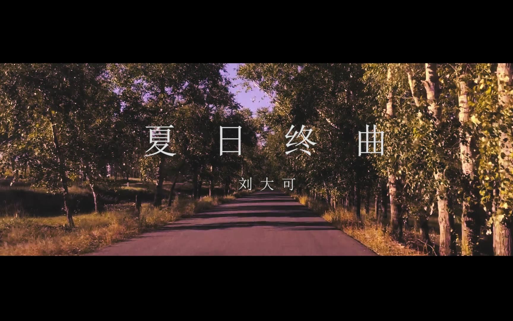 夏日终曲-刘大可