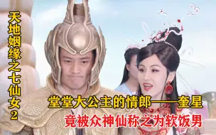 Download Video: 《天地姻缘七仙女第2集》：堂堂大公主的情郎，奎星好不容易拿到铁饭碗，却被他人称为软饭男