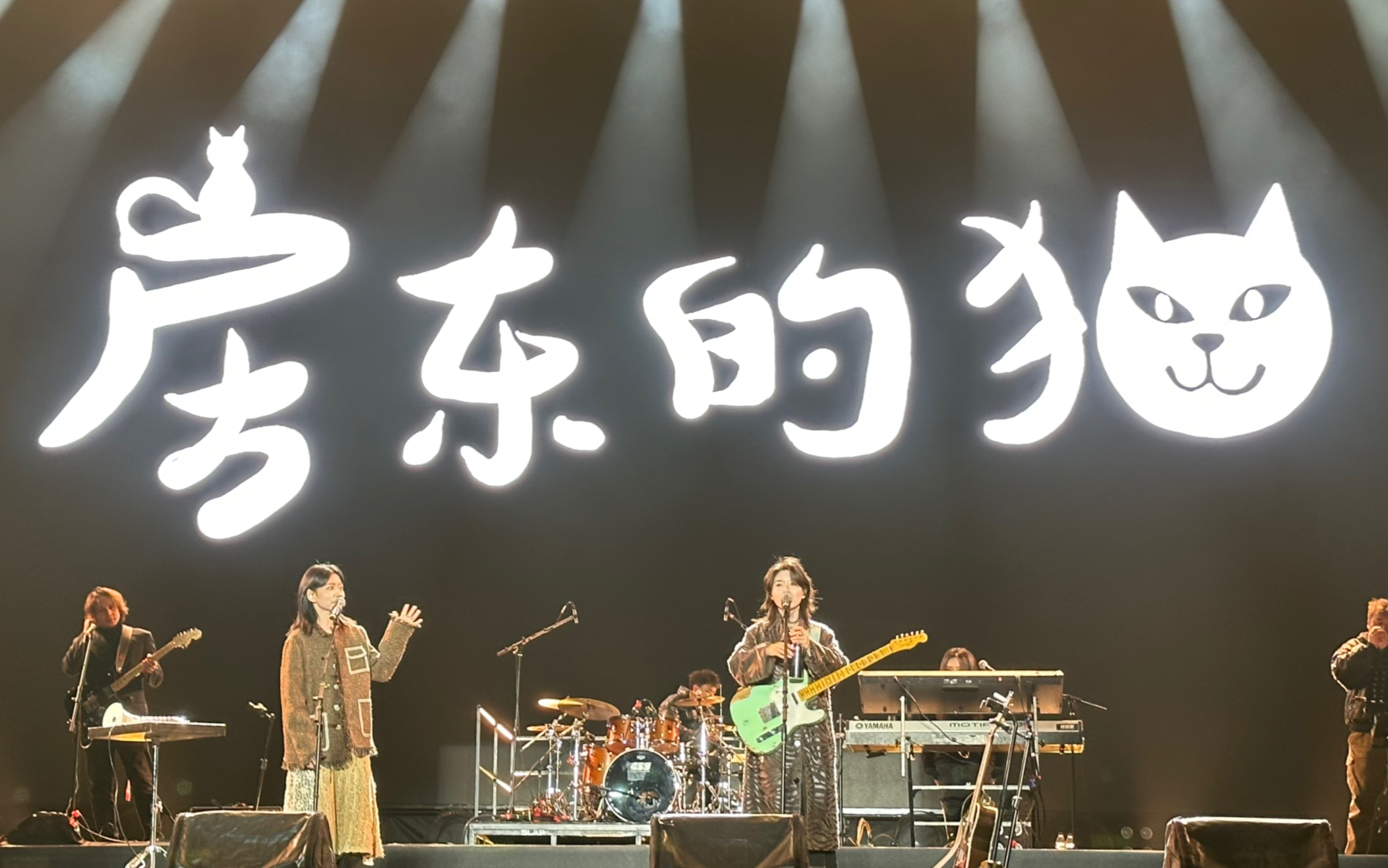 所念皆星河—房东的猫(广州星巢秘境音乐节)