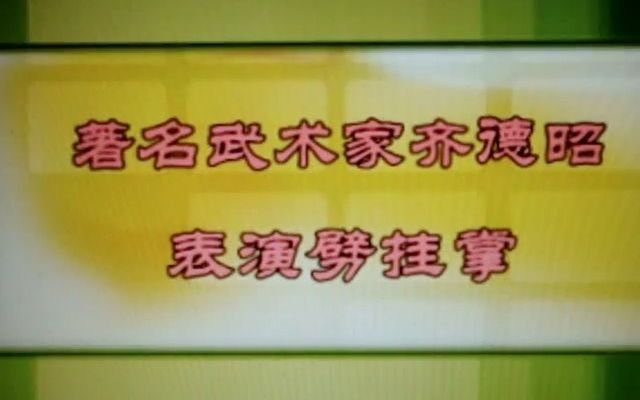 劈挂掌 齐德昭师爷 看看老一辈的身法,有八极味的劈挂掌哔哩哔哩bilibili