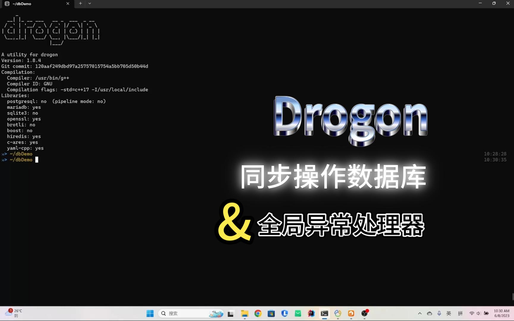 【Drogon】数据库同步接口和全局异常处理器哔哩哔哩bilibili