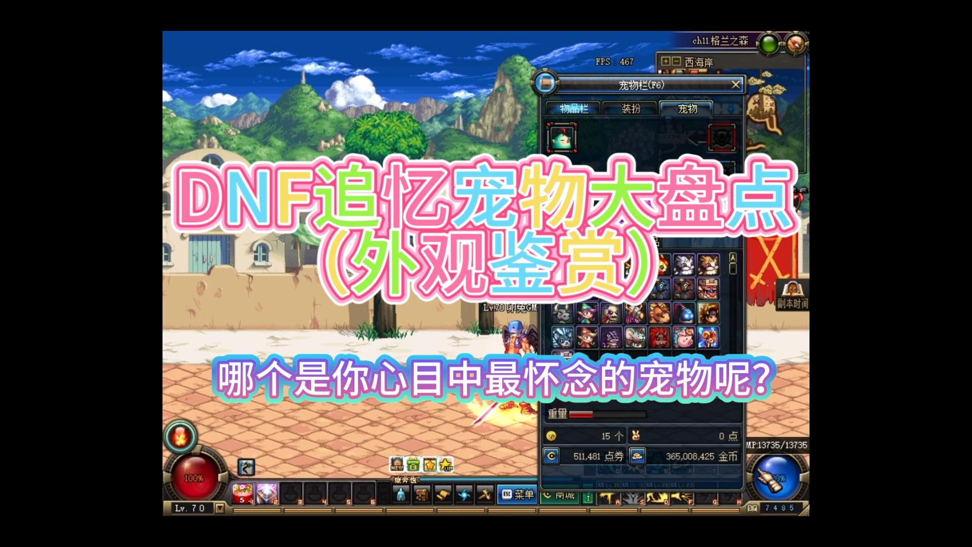 勇士:那年我用波比舌战群儒!盘点dnf最古老的宠物们