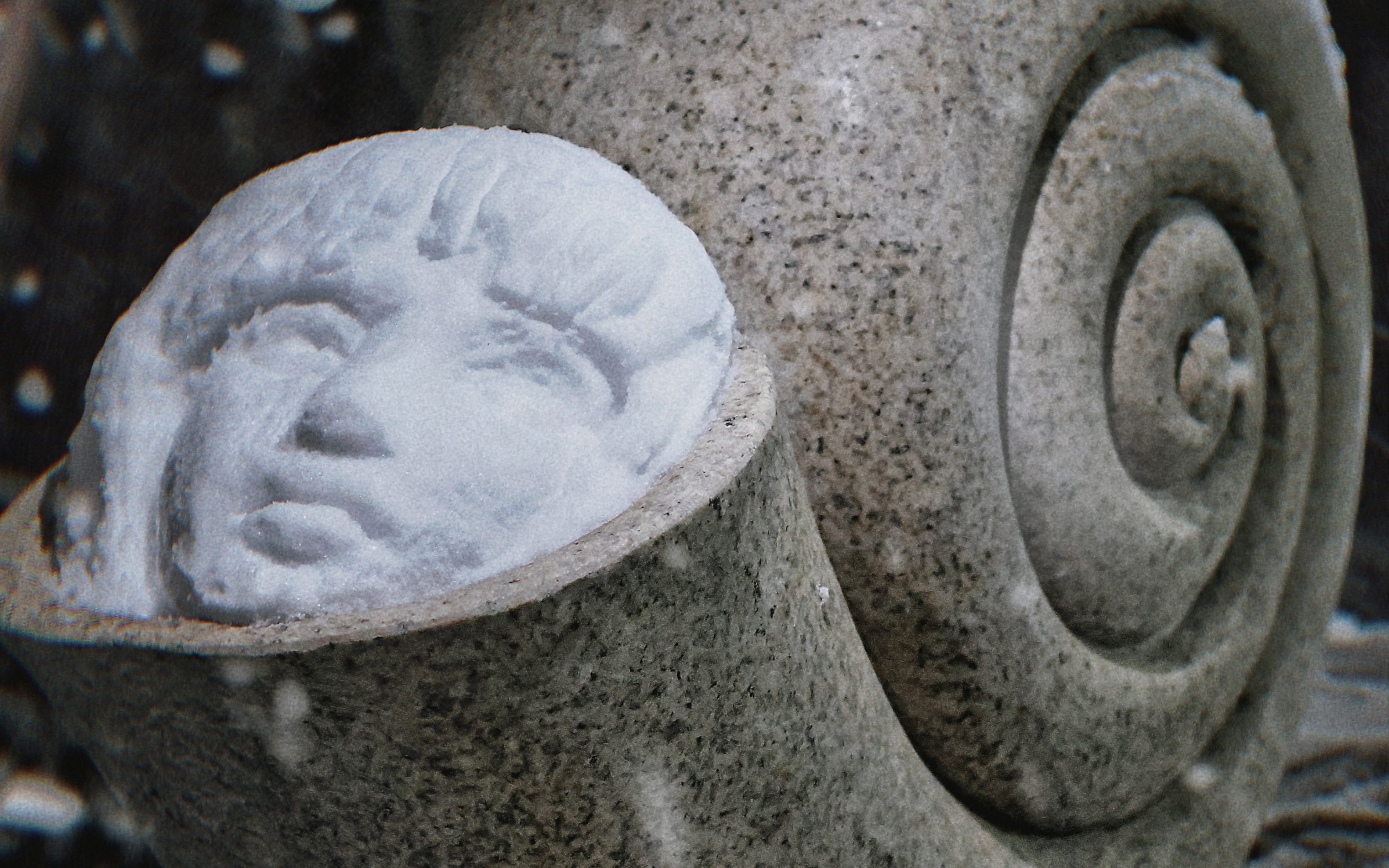 胆小的爱人-蛞蝓少女/2023年的第二个雪雕-荚莱菜工厂-荚莱菜工厂