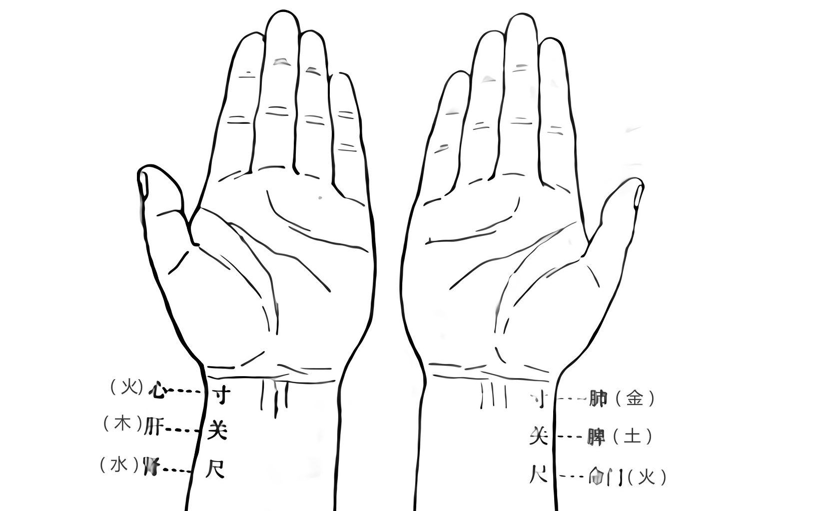 【和老外一起学中医】4.切脉的原理(席庸)哔哩哔哩bilibili