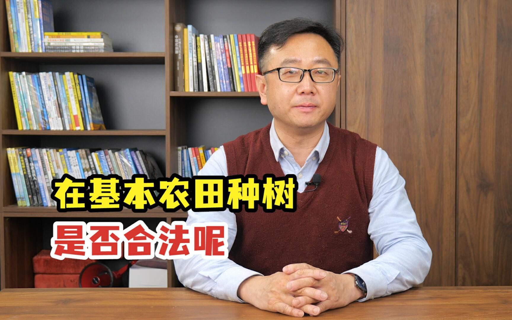 在基本农田不种粮食种树合法吗?看完下面这条视频你就明白了哔哩哔哩bilibili