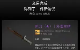 下载视频: [CSGO]当你拥有一把刺刀时