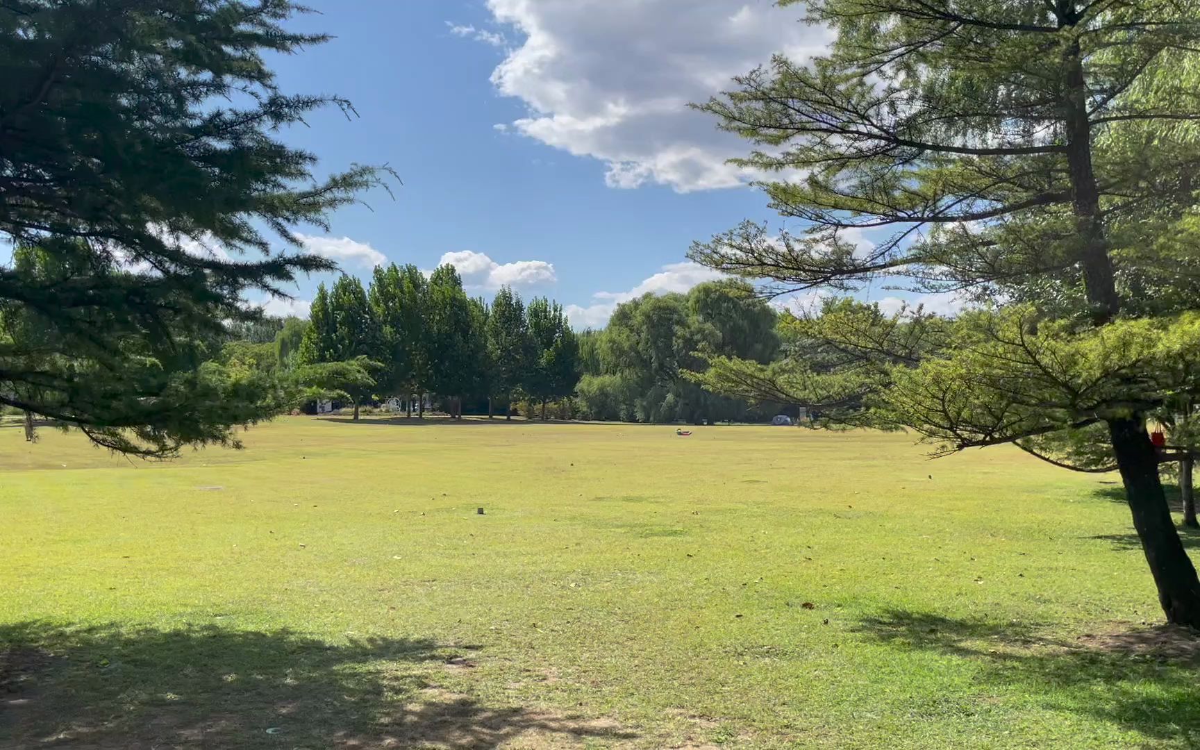 程序员饭后散步,初秋的北京海淀公园风景如画