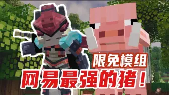 Descargar video: 网易我的世界最强猪！升级全靠吞！限免模组 猪斯拉！