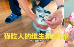 Download Video: 猫不能自身合成维生素，而猫又需要维生素，猫吃人的维生素b剂量