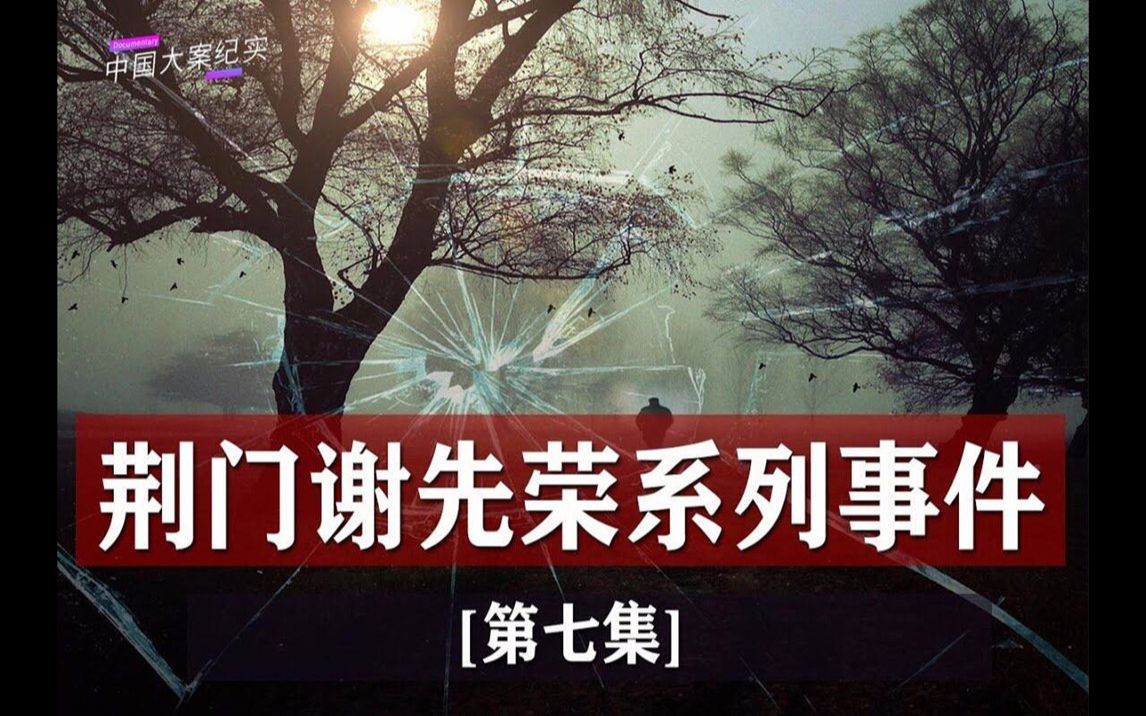 【刑侦大案记实录】荆门谢先荣系列事件始末第七集