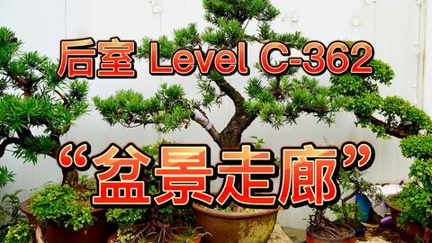 Backrooms后室】层级介绍Level 13 “无限公寓”_哔哩哔哩_bilibili