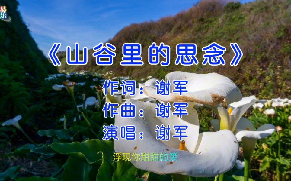 《山谷里的思念》一首歌一个故事