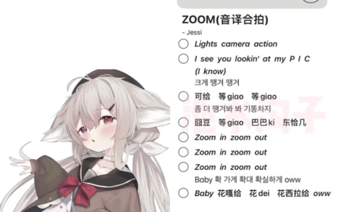 ZOOM(音译合拍)哔哩哔哩bilibili