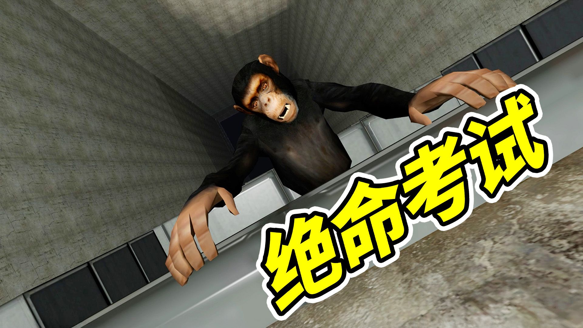 绝命考试，成者为王！--勾魂公狒狒---勾魂公狒狒--哔哩哔哩视频