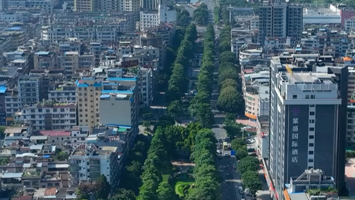 这里是客家围龙屋之乡,兴宁市,广东省辖县级市,由梅州市代管,位于广东省东北部,东江、韩江上游,总面积2104.85平方千米哔哩哔哩bilibili