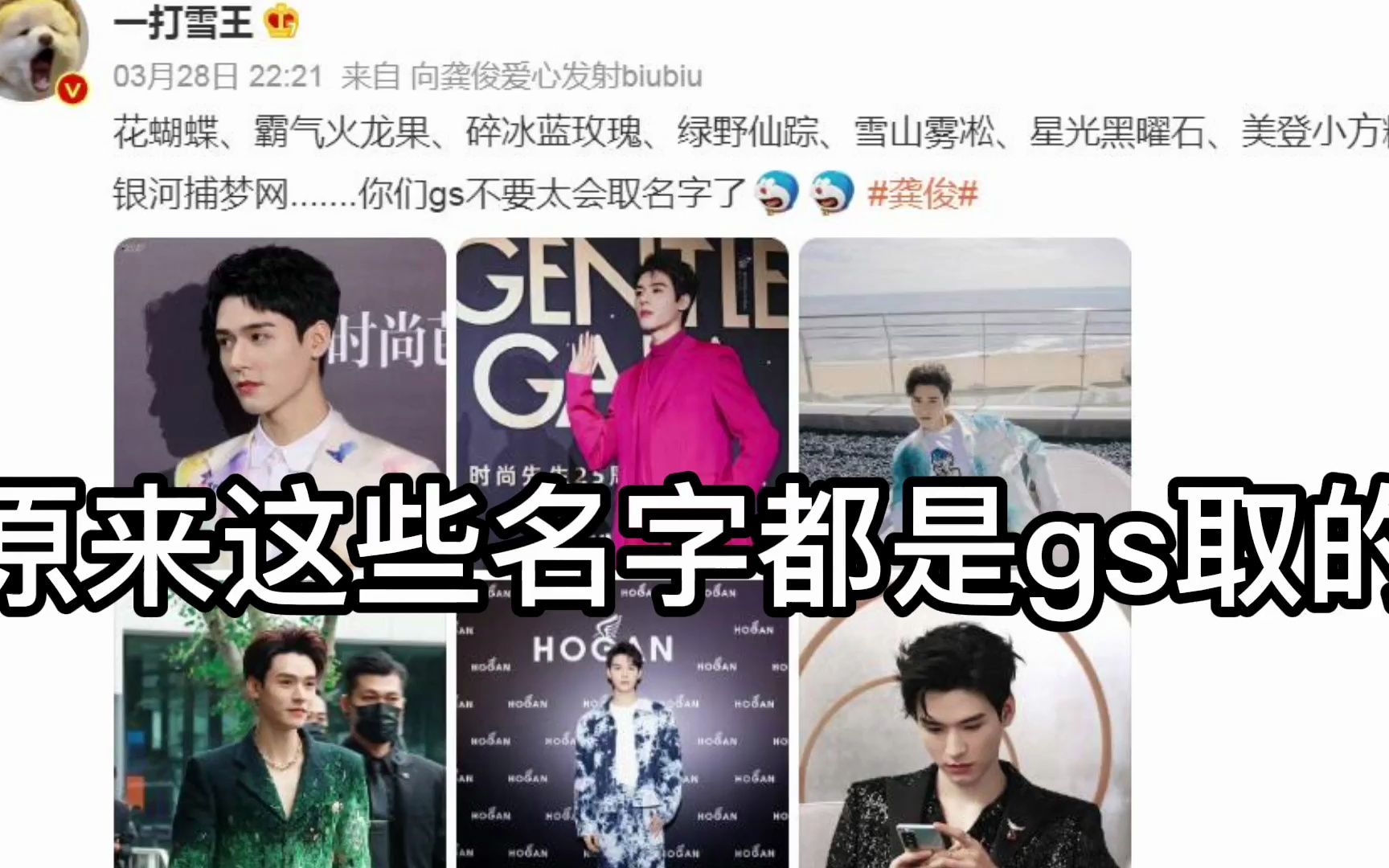 龚丝不就是时尚圈起名大师?这就是被蒸煮带飞吗?哔哩哔哩bilibili