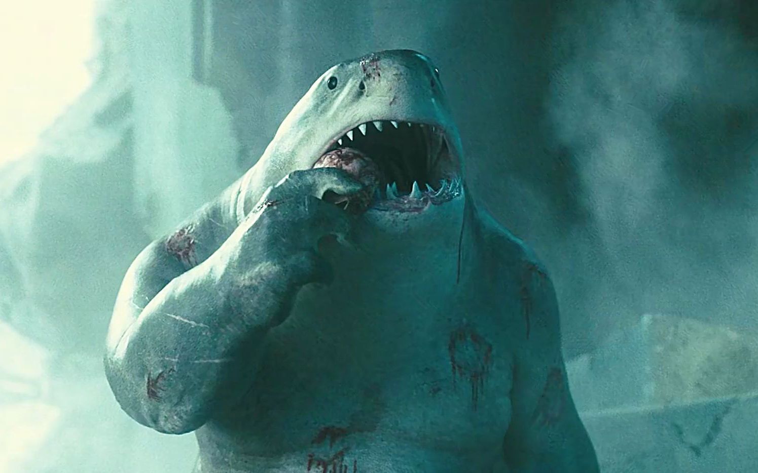 有这种爱好的一只鲨鱼王你喜欢吗