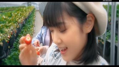 Juice=Juice DVD MAGAZINE vol.43 T116105378 お 得 な 通販  Juice