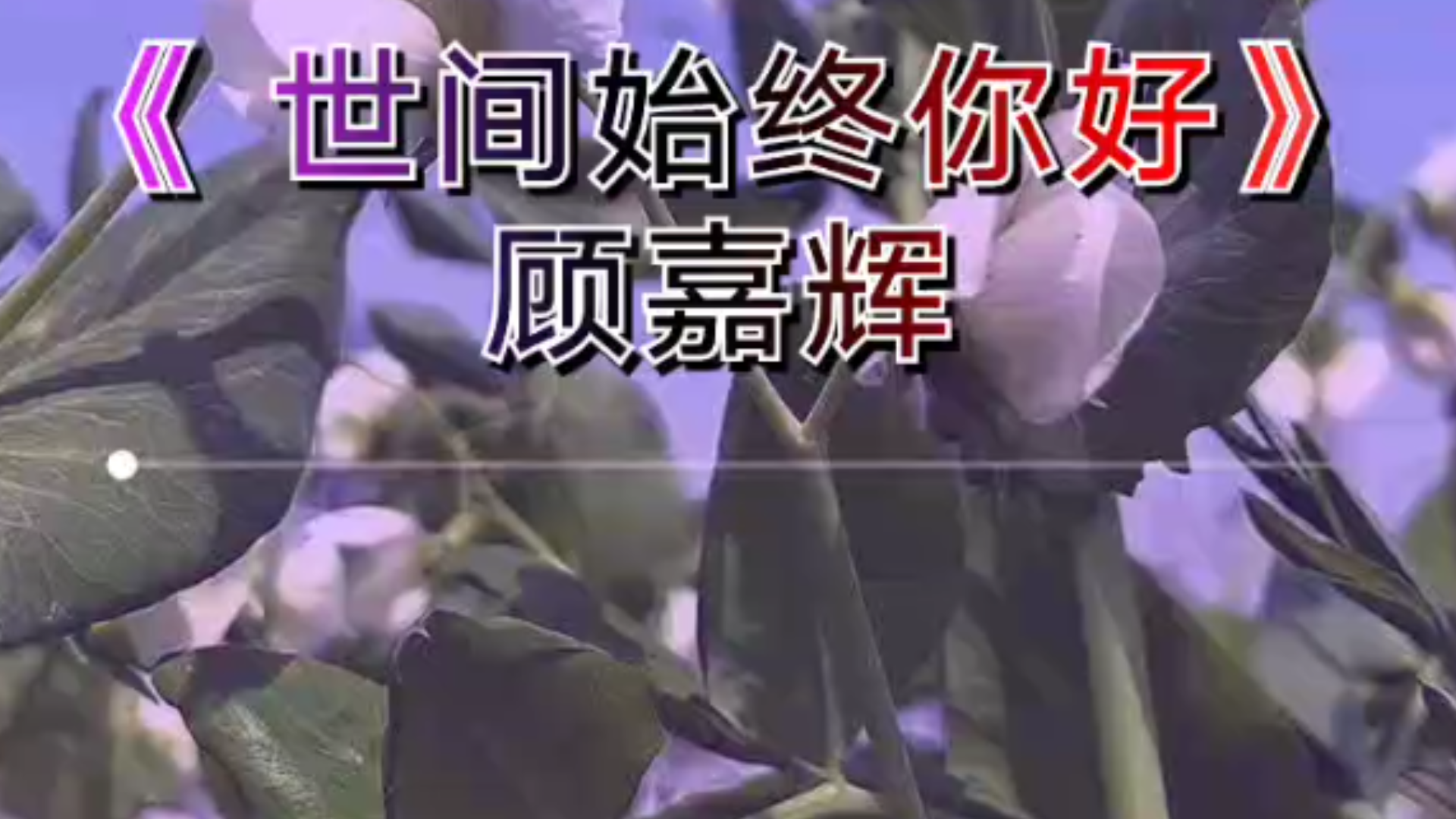 [图]纯音乐射雕英雄传之华山论剑－－世间始终你好（顾嘉辉）