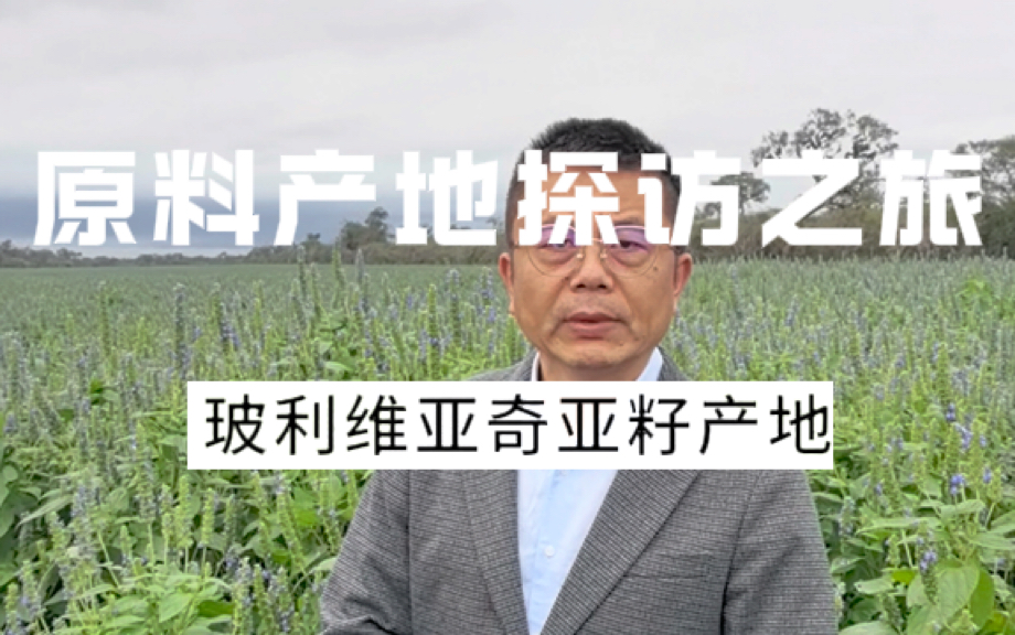 奇亚籽是当地一种常见的食用植物种子,含有丰富的营养成分.