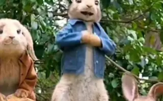 搞笑视频彼得兔