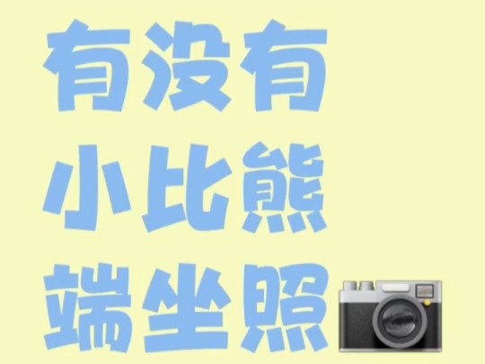 评论区晒晒小比熊端坐的照片让我看看(超大声!!!)后台滴滴我可以进小比熊交流裙~哔哩哔哩bilibili