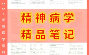 下载视频: 精神病学—精品笔记（重点笔记+知识点总结）BLYA