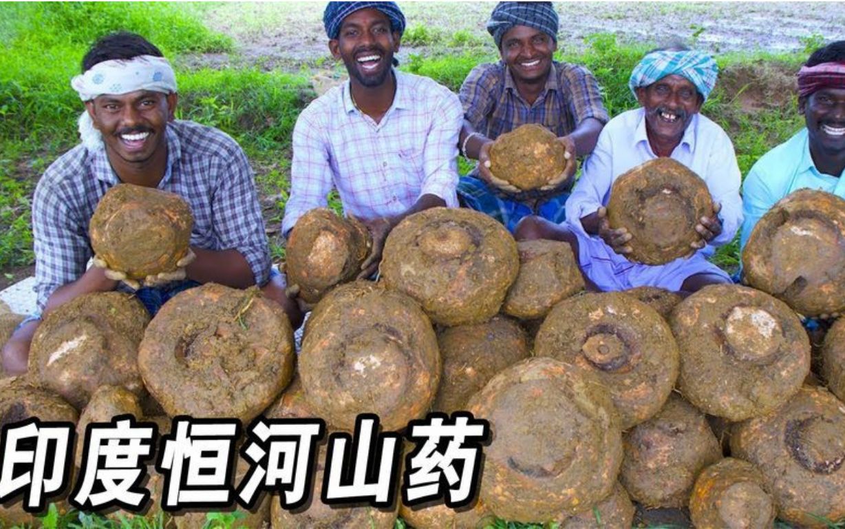 长在印度恒河边的山药,大得跟西瓜一样,味道超乎你的想象