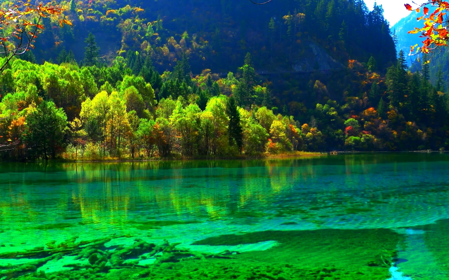 top5屏保美景stunninglybeautifulplaces