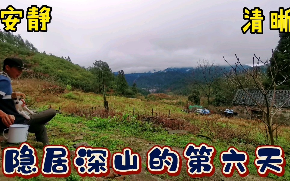 隐居深山,享受大自然安静的田园生活,简单快乐无忧无虑.哔哩哔哩bilibili