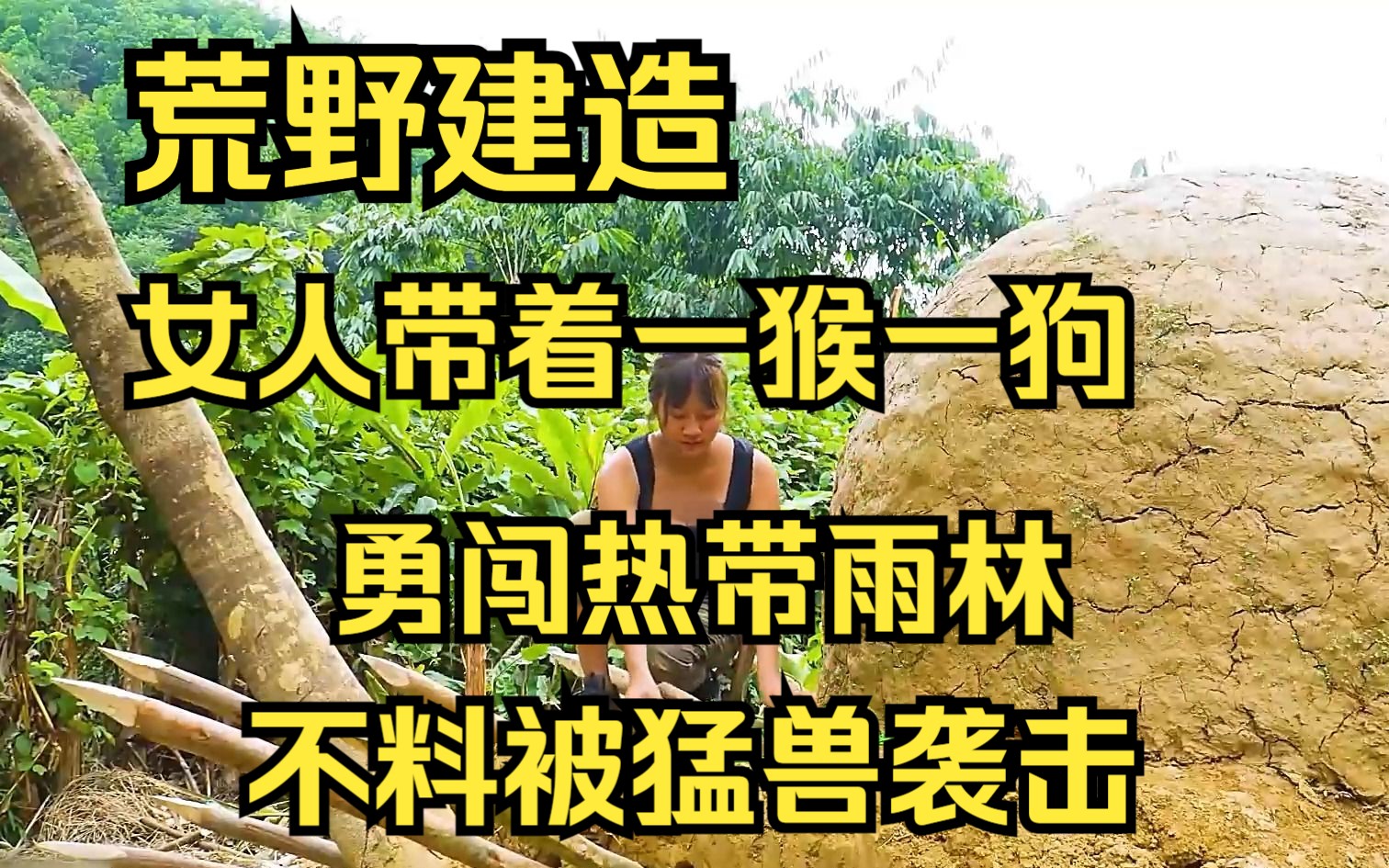 [图]一口气看完《荒野建造》：女人带着一猴一狗勇闯热带雨林，不料被猛兽袭击 ……