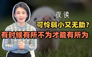 Download Video: 快看夜读：可怜弱小又无助？有时候有所不为才能有所为