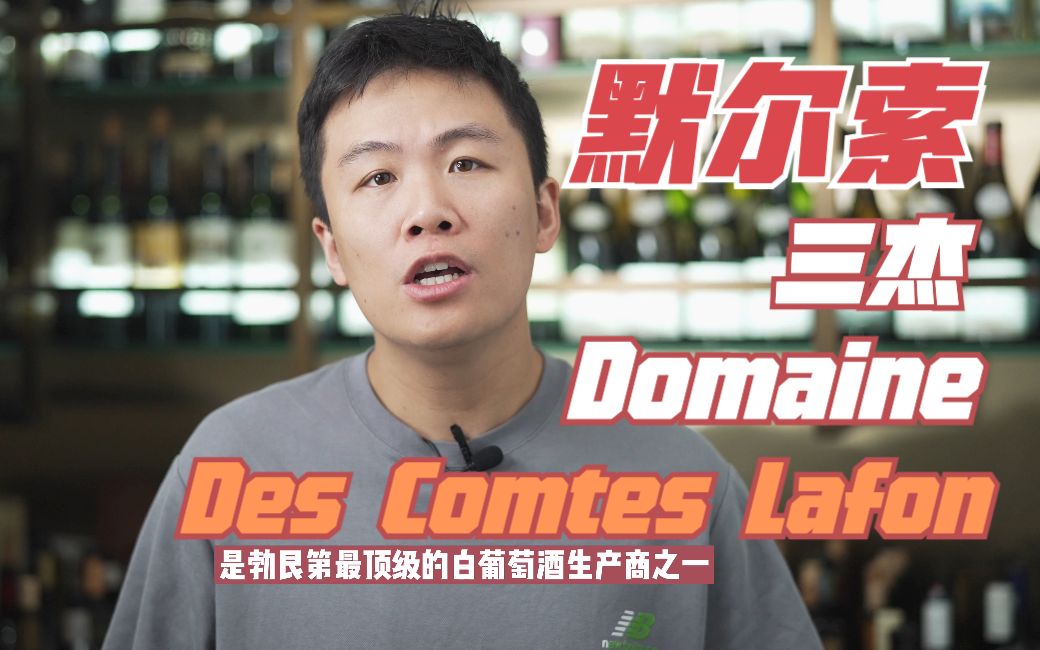 Domaine Des Comtes Lafon默尔索三杰哔哩哔哩bilibili