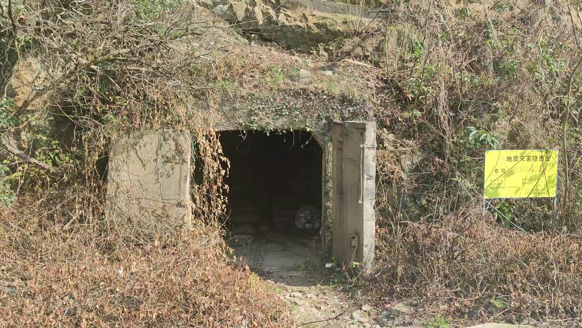 旅行时发现一个恐怖的山洞,虽然很想进去看看,但是.