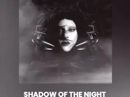 LG7：Shadow Of The Night（new leak version）