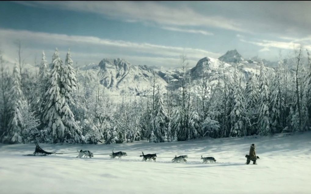 领头犬拉雪橇的电影图片