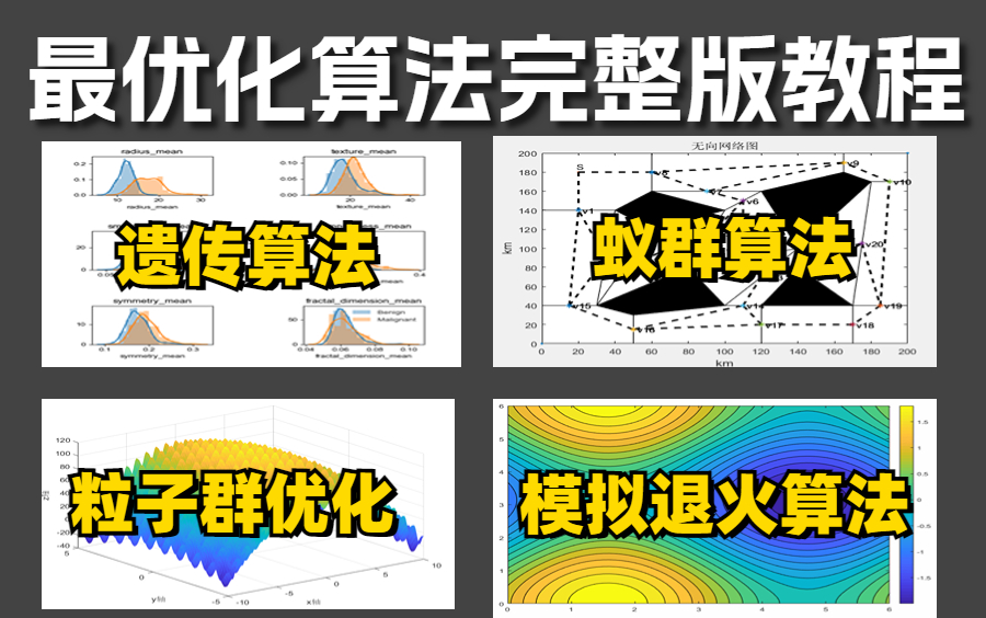 [图]【最优化算法完整版教程】一次性讲完遗传算法、蚁群算法、模拟退火算法、粒子群优化！不愧是中科大教授！3小时让我清楚了凸优化——人工智能|AI|机器学习