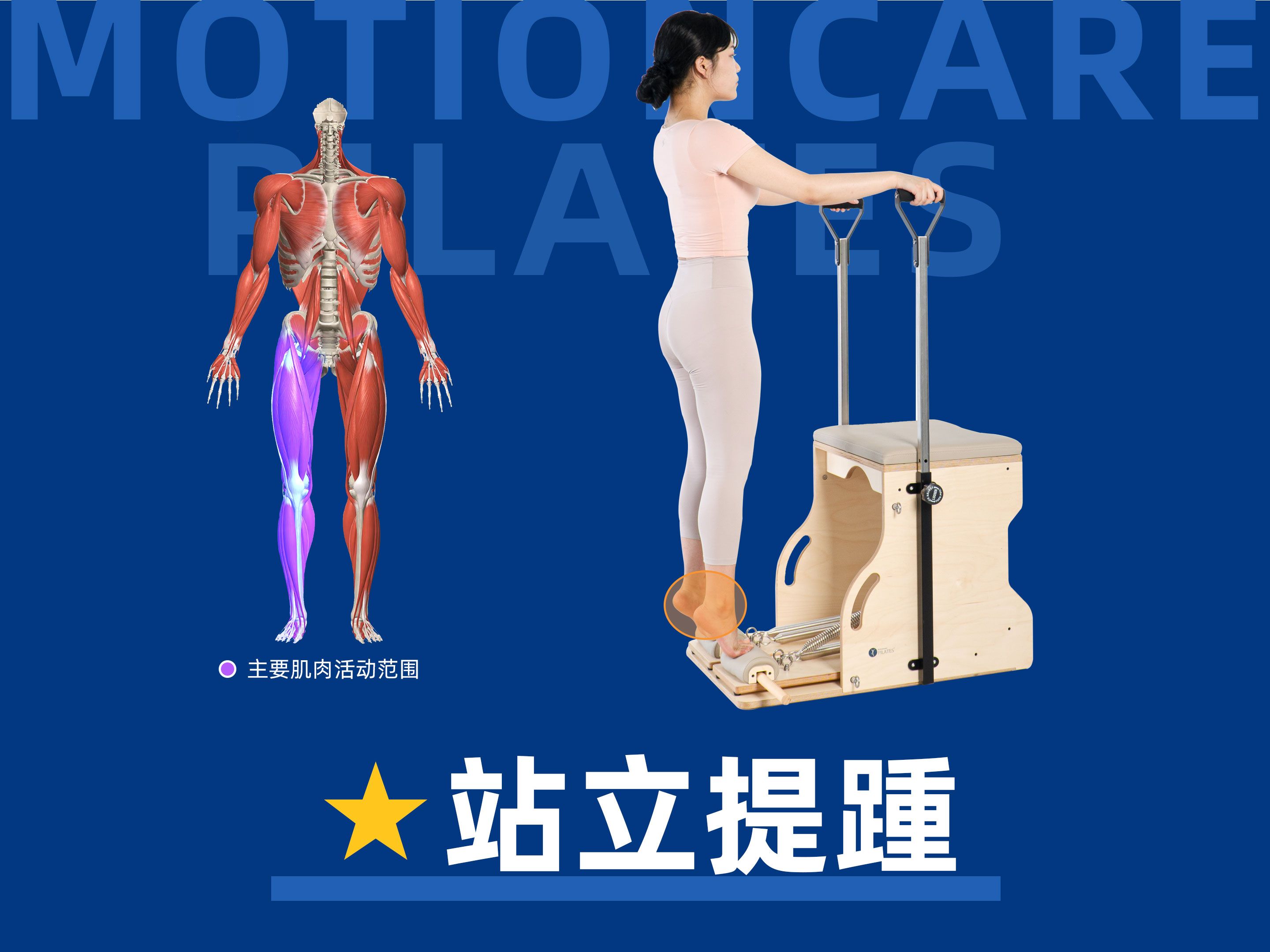 no7.站立提踵(提高脚踝和膝盖的稳定性锻炼小腿肌肉)